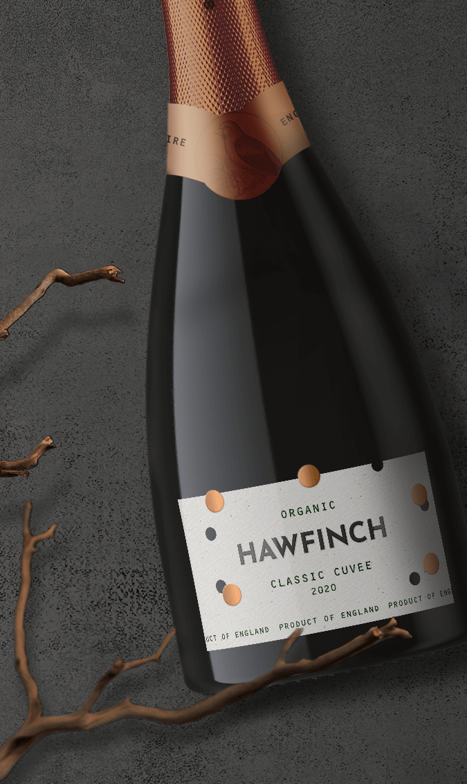 Marmalade London Brand and Packaging Agency